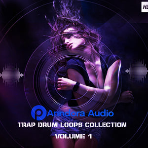 PANNDORA AUDIO Trap Drum Loops Collection - Panndora Audio