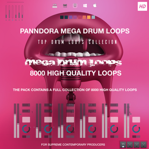 Panndora Mega Drum Loops 8000