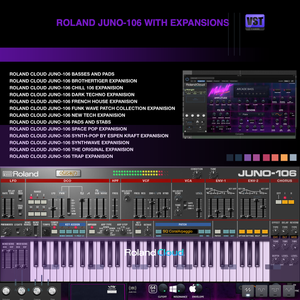 Roland Keyboards Juno 106 with Expansions - Panndora Audio